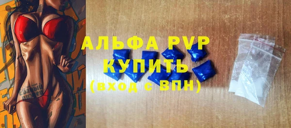 индика Михайлов