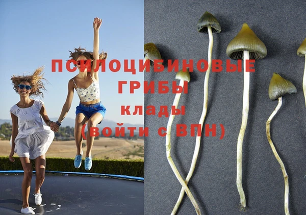 крисы Наволоки