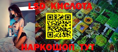 ALPHA-PVP Камышлов