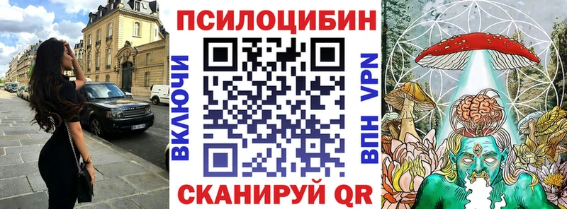 Псилоцибиновые грибы Cubensis что такое Шуя
