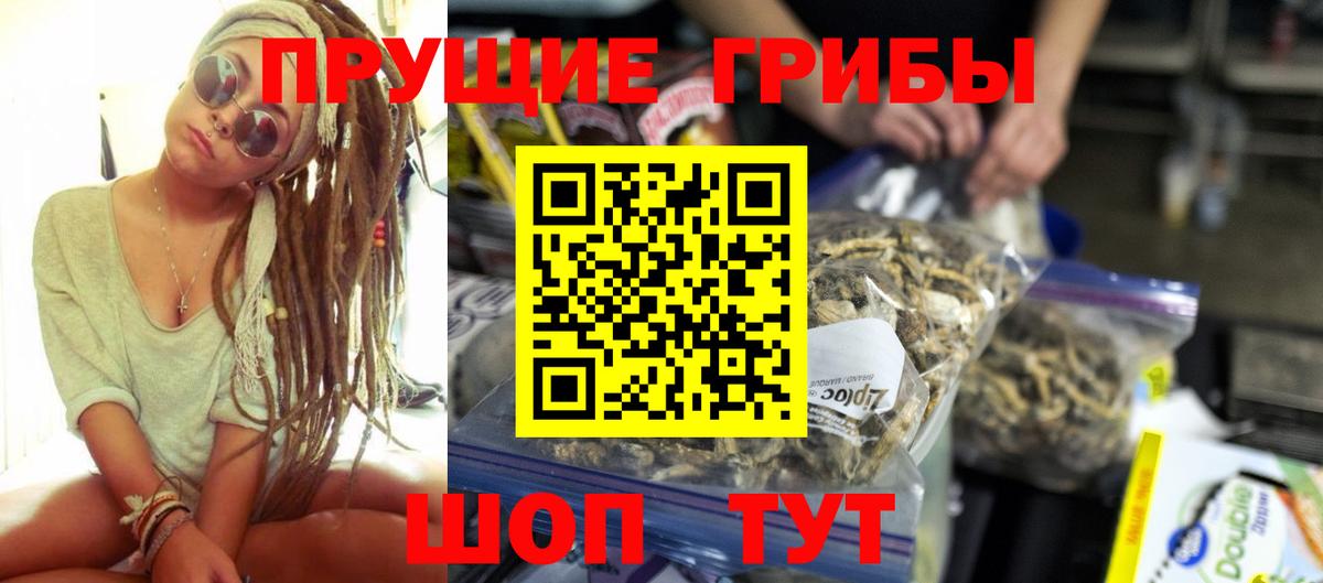 Галлюциногенные грибы прущие грибы  Вход с VPN  Шуя 