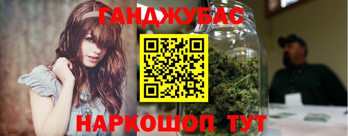 Конопля гибрид Шуя